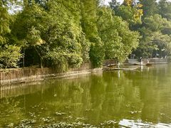 -东湖落雁景区