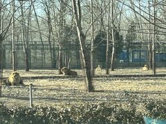 -秦皇岛野生动物园