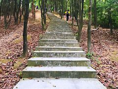 -火炉山森林公园