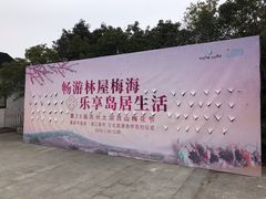 -林屋梅海青梅保护基地