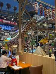 -卡通尼·Safari非洲探索乐园·生日会(金桥国际商业广场店)