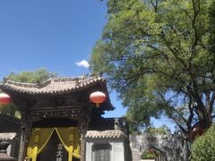 -大槐树寻根祭祖园