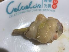 -青瓷火锅料理(西单大悦城店)