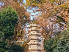 -灵谷景区