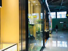 -丽江三义国际机场