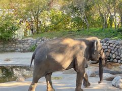 -北京野生动物园