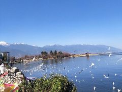 -青鱼湾水上乐园