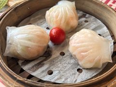 -点都德(水贝IBC店)