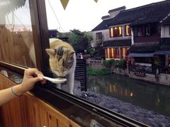 -梦江南