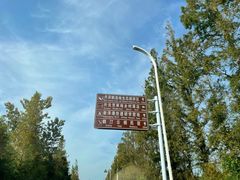 -盐城丹顶鹤湿地生态旅游区