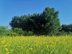 -长春公园(普阳街道)