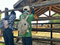 -青藏高原野生动物园