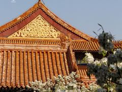 -故宫博物院(故宫)