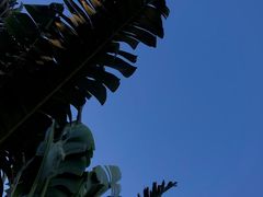 -惠州金海湾嘉华度假酒店