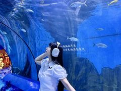 -重庆欢乐海底世界
