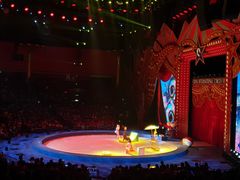 -珠海横琴长隆《卡卡虎奇遇记》