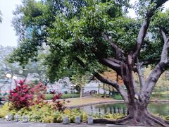 -晓港公园