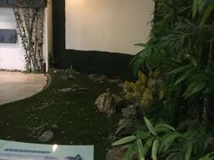 -芒洲湿地公园