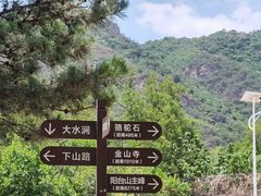 -阳台山自然风景区