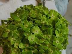 -广州富力丽思卡尔顿酒店·丽轩·粤菜