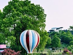 -铁山坪森林公园