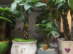 -万商花鸟市场