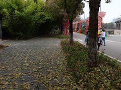 -武汉园博园(武汉自然博物馆)