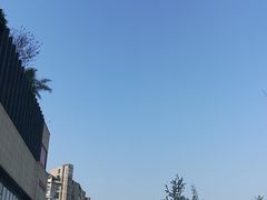 -闻酥园(大慈寺店)