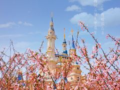 -上海迪士尼度假区