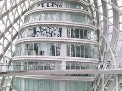-凤凰中心