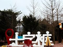 -四明山国家森林公园