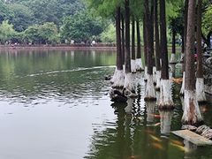 -东莞市可园博物馆