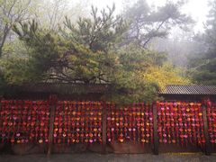 -石岛赤山风景区
