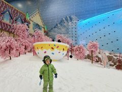 -广州热雪奇迹