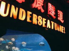 -太平洋海底世界