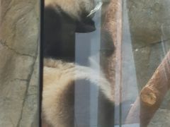 -香港海洋公园