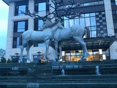 -鹭江潮餐厅•福建菜(鹭江佲家酒店)