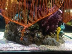 -暹罗海洋世界