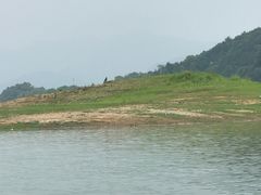 -千岛湖-欢乐水世界