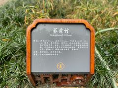 -望江楼公园