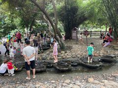 -成都市活水公园