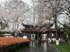-堤角公园