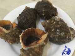 -春华海鲜城(广场西苑店)