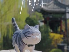-迎泽公园