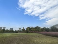 -海底捞火锅(如皋吾悦广场店)