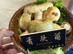 -爱膳菌锅锅(阳南店)