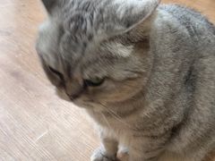 -小时光咖啡馆(开森度假森林店)