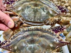 -金沙滩海鲜餐厅·海肠捞饭·手工水饺(梅江龙水园店)