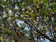 -宁波富邦荪湖山庄