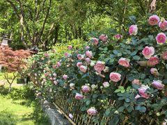-新洲生态园